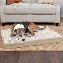 Dofferville sales dog bed